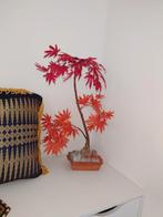 Kunst Japanese acer (sort van bonsai), Ophalen, Zo goed als nieuw, Binnen