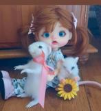 2 stuks ooak custom made needle felted muizen, o.a bjd's, Ophalen of Verzenden, Zo goed als nieuw, Overige typen, Overige merken