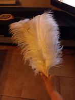 Prachtige struisvogel veren, Dieren en Toebehoren, Kip