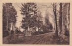 Ansichtkaart Zelhem Grintweg naar Hummelo, Ophalen of Verzenden, Voor 1920, Gelopen, Gelderland