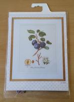 Pruim Patroon + zijde - Thea Gouverneur, Hobby en Vrije tijd, Borduren en Borduurmachines, Patroon, Ophalen of Verzenden, Handborduren