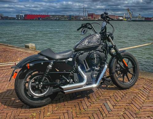 Harley Davidson Sportster XL1200 NS, Motoren, Motoren | Harley-Davidson, Particulier, Chopper, meer dan 35 kW, 2 cilinders, Ophalen