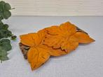 Vintage handgesneden dienblad hout met blad/bladen/blaadjes., Huis en Inrichting, Woonaccessoires | Dienbladen, Ophalen of Verzenden
