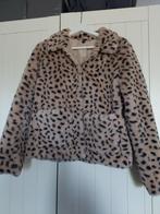 Panter jas, Kleding | Dames, Jassen | Winter, H&M, Bruin, Verzenden, Zo goed als nieuw