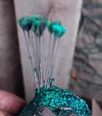 PAUWENKROONTJE KROON VAN BLAUWE PAUW, Dieren en Toebehoren, Mannelijk, Overige soorten