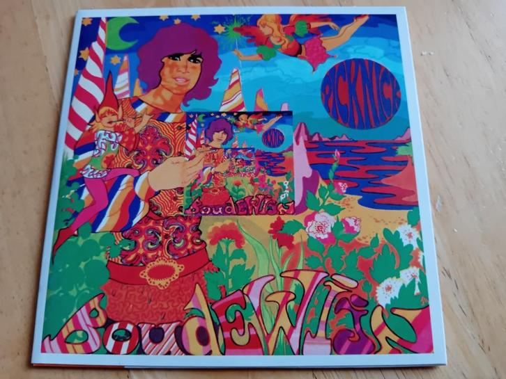 CD Boudewijn De Groot - Picknick (2009), Cd's en Dvd's, Cd's | Nederlandstalig, Verzenden