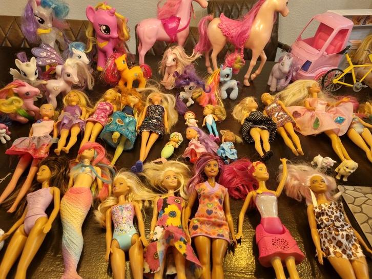 Mooie grote collectie barbies en toebehoren, Tickets en Kaartjes, Evenementen en Festivals, Eén persoon