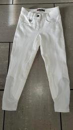 Rijbroek wit QHP maat 116, Dieren en Toebehoren, Paardrijkleding, Kinderen, Dressuur, Nieuw, Ophalen of Verzenden