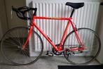 Speedbike cycletech hazard neon racefiets opknapper, Fietsen en Brommers, Ophalen, Gebruikt, Overige materialen, Overige merken