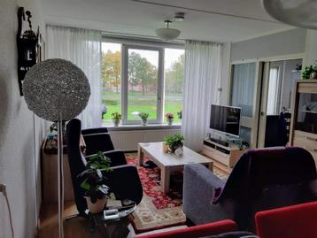 Vitrage gordijnen beschikbaar voor biedingen