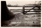 Brummen - Wintergezicht, Verzenden, 1940 tot 1960, Ongelopen, Gelderland