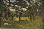 Baarn Paardenkuil, Verzamelen, Ansichtkaarten | Nederland, Ophalen of Verzenden, 1920 tot 1940, Ongelopen, Utrecht