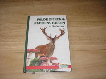 Wilde dieren & Paddenstoelen in Nederland beschikbaar voor biedingen