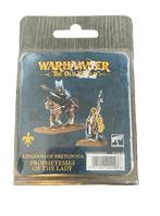 Warhammer Old World Bretonnia Prophetesses of the Lady, Hobby en Vrije tijd, Wargaming, Warhammer, Ophalen of Verzenden, Zo goed als nieuw