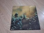 Steely Dan lp, Ophalen of Verzenden, Zo goed als nieuw, 12 inch, Poprock