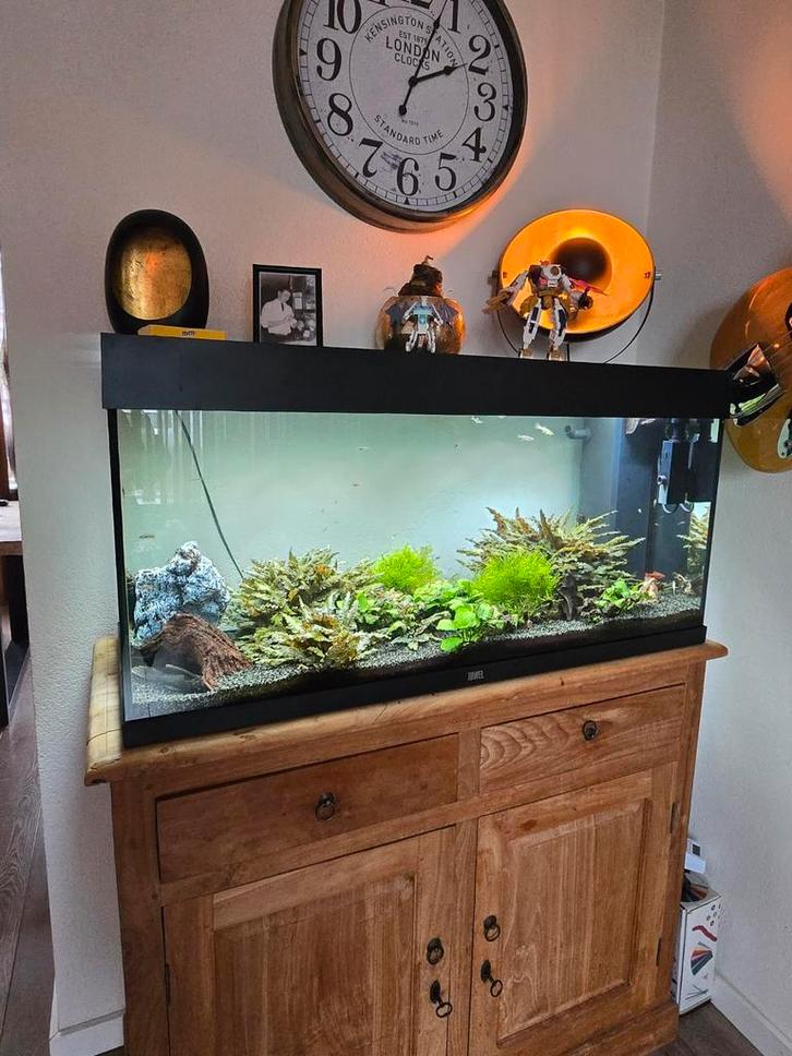 Juwel aquarium met toebehoren en vissen, Dieren en Toebehoren, Vissen | Aquaria en Toebehoren, Zo goed als nieuw, Gevuld zoetwateraquarium