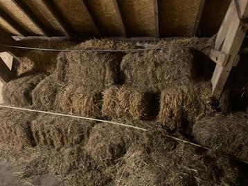 Gratis oud hooi beschikbaar voor biedingen
