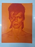 David Bowie Is - Tentoonstellingscatalogus, Ophalen of Verzenden, Gelezen, Overige onderwerpen, Victoria Broackes & Geoffrey Marsh