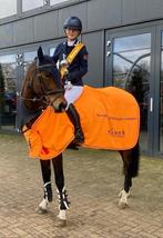 (Plekje vrij) Ruiter voor inrijden, doorrijden en verkopen, Diensten en Vakmensen, Dieren | Paarden | Verzorging, Oppas en Les