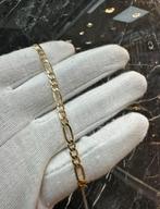 14K gouden Figaro met armband, Ophalen of Verzenden, Nieuw, Goud, Goud