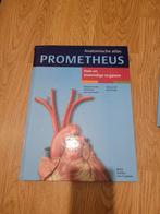 Prometheus Anatomische Atlas - Hals en Inwendige Organen, Zo goed als nieuw, Beta, Michael Schünke, HBO
