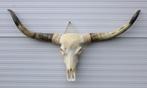 Grote schedel TEXAS STYLE LONGHORN 139 cm - ref. C (gewei), Nieuw, Boerderijdier, Ophalen, Schedel