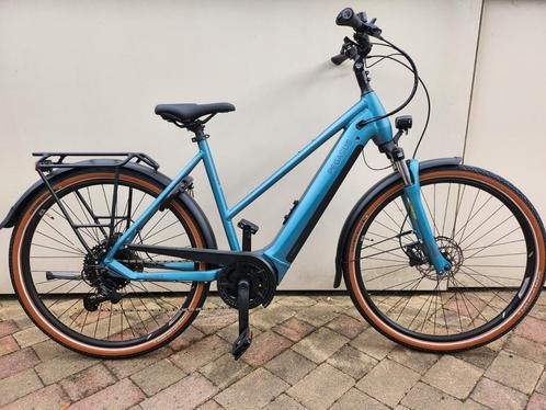 PEGASUS - Premio - EVO 9 - NIEUW - 0 Kilometer - 2025, Fietsen en Brommers, Elektrische fietsen, Nieuw, Overige merken, 55 tot 59 cm
