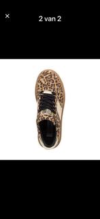 Nieuwe sneakers, Kleding | Dames, Schoenen, Overige kleuren, Nieuw, Ophalen of Verzenden, Sneakers of Gympen