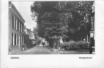 (701-154-029) Dieren Hoogestraat beschikbaar voor biedingen