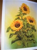 Posters van bloemen, Verzamelen, Rechthoekig Staand, A4 of kleiner, Ophalen of Verzenden, Zo goed als nieuw