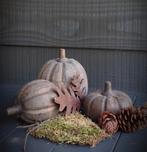 Set pompoenen bruin van hout., Ophalen of Verzenden, Nieuw