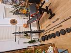 weider pro halterbank halterstangen dumbels en ijzer gewicht, Sport en Fitness, Ophalen, Zo goed als nieuw, Fitnessbank