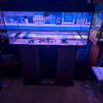 Juwel rio LED 180, Ophalen, Gebruikt, Leeg aquarium