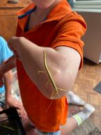 Indische wandelende tak te koop, Dieren en Toebehoren, Insecten en Spinnen, Wandelende tak