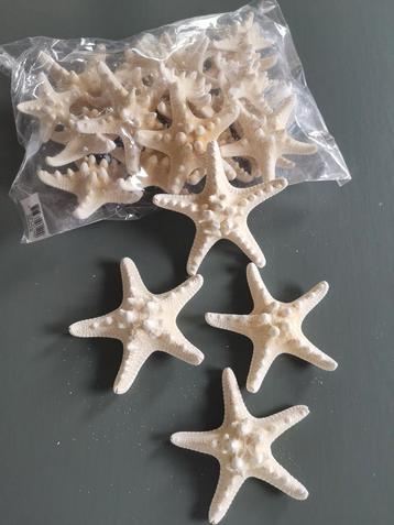 Zeesterren decoratie  beschikbaar voor biedingen
