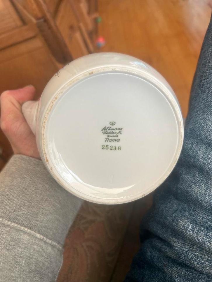 Seltmann Weiden Bavaria Roma Theeservies, Antiek en Kunst, Antiek | Servies compleet, Ophalen of Verzenden