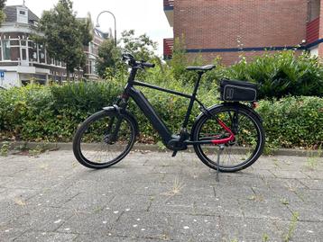 Koga Pace B10 suspension herenmodel maat L beschikbaar voor biedingen