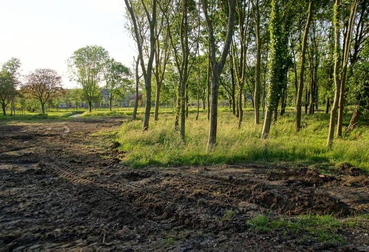 Te koop gevraagd weide  agrarische grond kavel lagevuurche, Dieren en Toebehoren, Stalling en Weidegang