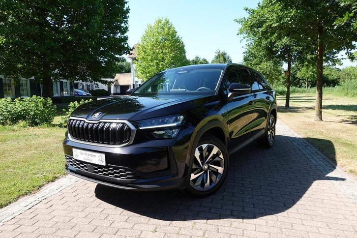Skoda Kodiaq 1.5 TSI MHEV Business Edition 7p. | LED | Head, Auto's, Skoda, Bedrijf, Te koop, Kodiaq, ABS, Achteruitrijcamera