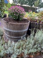 Bloembak eiken half wijnvat whiskyvat vijver palmboom vijgen, Tuin, Gerard Krale, Rond, Nieuw