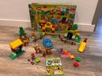 LEGO DUPLO 10584, Ophalen of Verzenden, Zo goed als nieuw, Complete set, Duplo