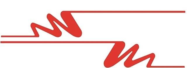 camper caravan auto sticker set fantasie striping, Caravans en Kamperen, Camper-accessoires, Nieuw, Ophalen of Verzenden