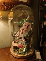 Kerst stolp met sneeuwuil/uil stolp, Ophalen, Zo goed als nieuw