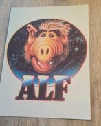 Alf - Amerikaanse sitcom 1986, Verzenden, 1980 tot heden, Ongelopen, Overige thema's
