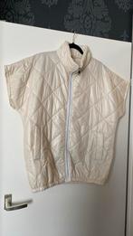 Bodywarmer beige, Ophalen of Verzenden, Nieuw, Maat 38/40 (M), Beige