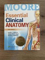 Moore's essential clinical anatomy 5e editie, Boeken, Ophalen of Verzenden, Beta, Zo goed als nieuw, WO