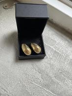 My Jewellery schelpjesoorbellen goud nieuw, Ophalen of Verzenden, Nieuw, Goud, Overige materialen