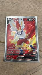 Goeie pokemonkaartjes met sleeves erom, Ophalen of Verzenden, Zo goed als nieuw, Meerdere kaarten