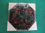 NIEUW 4 mooie kerstkransen rood met bruine natuurprodukten, Diversen, Kerst, Ophalen of Verzenden, Nieuw