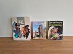 3 Floortje Dessing reisboeken voor inspirerende reisverhalen, Ophalen of Verzenden, Zo goed als nieuw, Europa, Overige merken